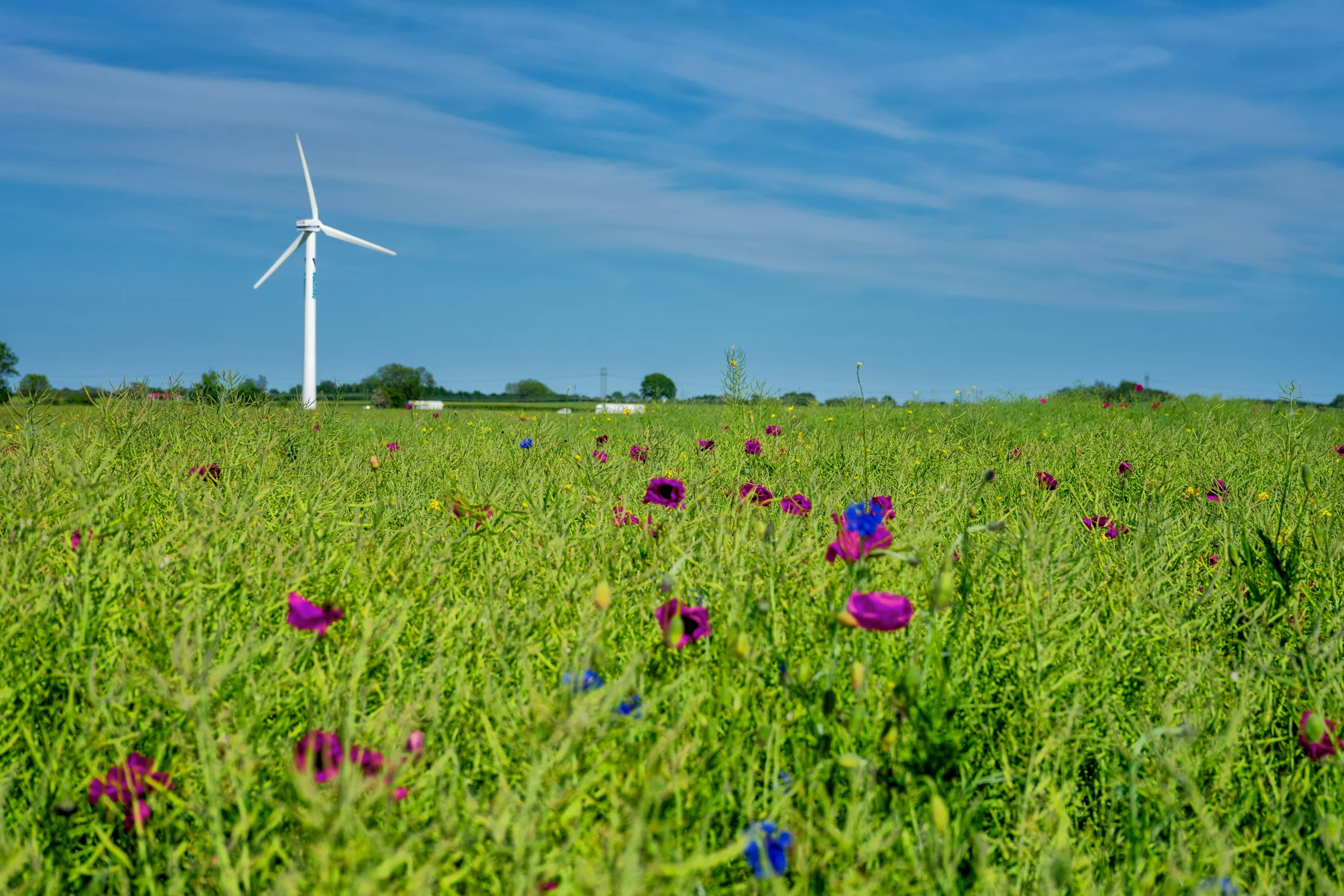 A scenic photo of a wind turbine in a meadow